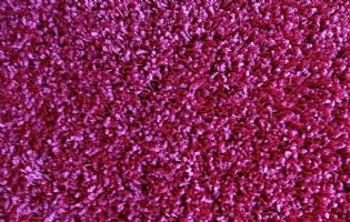 Pink Carpet Color
